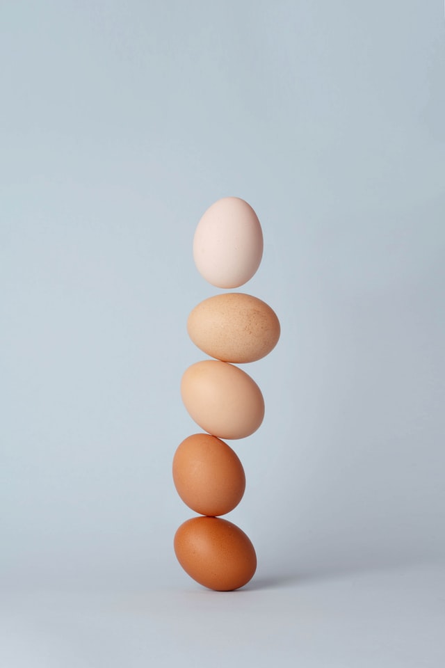 dlaczego jaja mają jajowaty kształt?