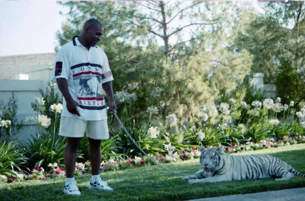Dlaczego Mike Tyson zbankrutował? Zdjęcie przedstawia Żelaznego Mikea z tygrysem syberyjskim na smyczy - jednym z wielu jego ekstrawaganckich zakupów