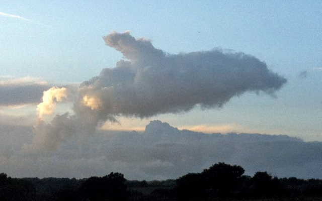 Dlaczego ludzie wierzą w teorie spiskowe? Zdjęcie przedstawiające chmurę o kształcie przypominającym zwierzę (delfina ;)?)